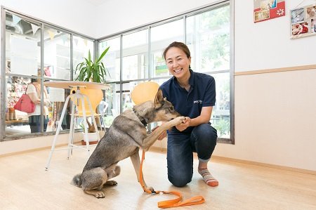 広島発 ピースワンコ ジャパン プロジェクト 政策シンクタンクphp総研